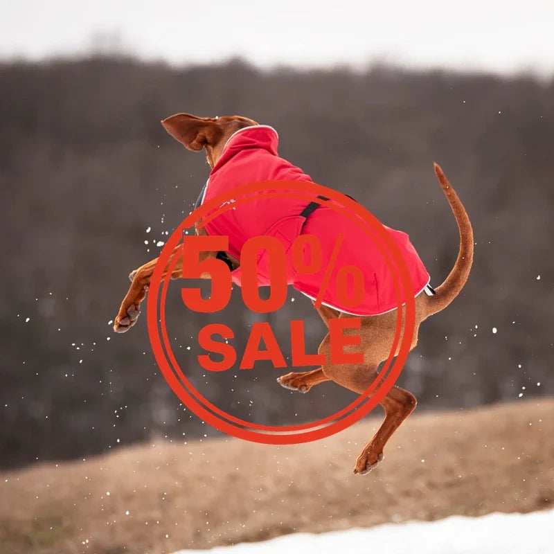 50% SALE für Hundebekleidung