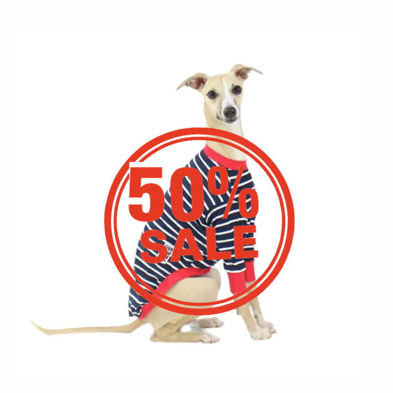 Whippet Hound-Tees