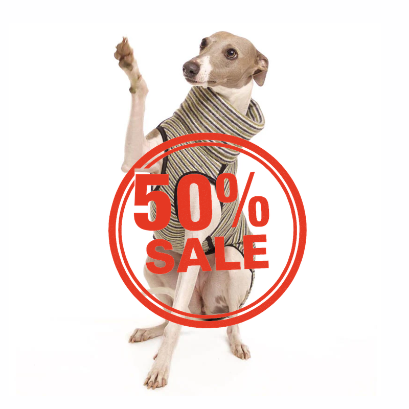 Sofa Dog Wear