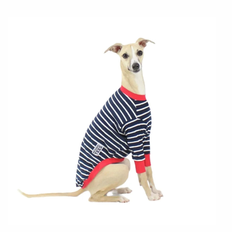Whippet Hound-Tees
