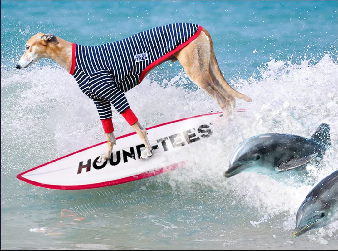 HOUND-TEES - Limited Edition