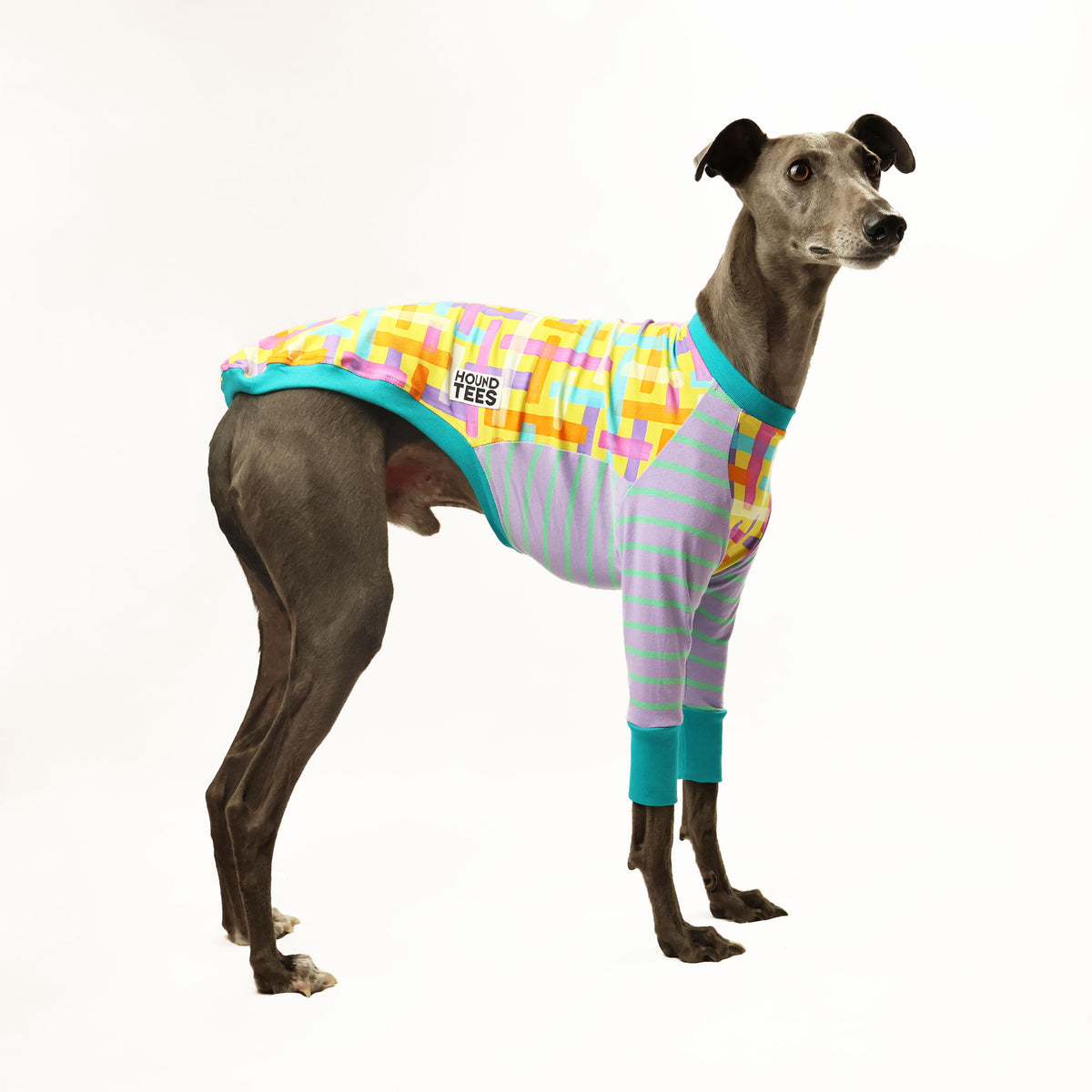 VORBESTELLUNG Broken Gingham Whippet Hound-Tee