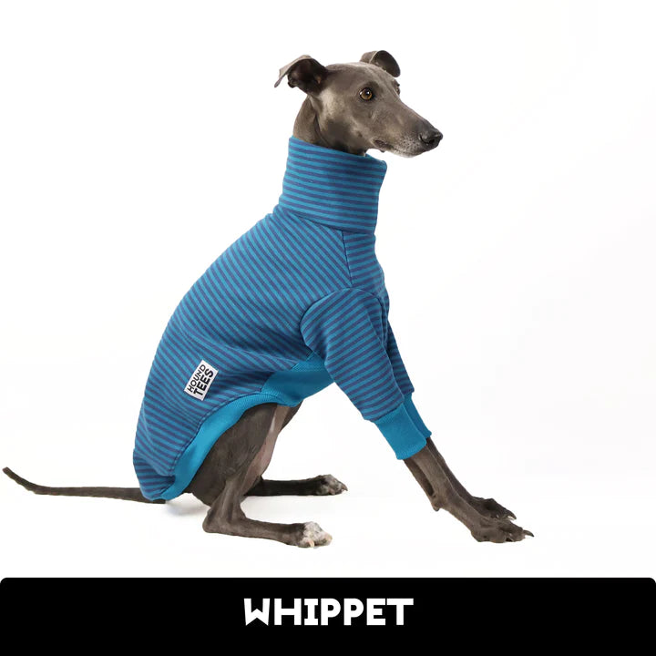 Big Blue Whippet Sweater
