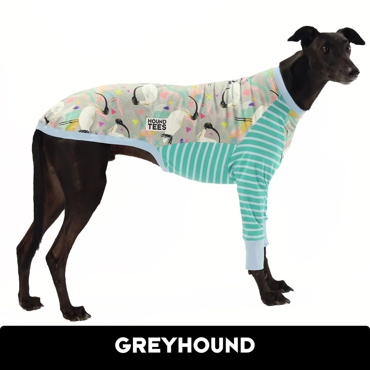 Bin Chicken Greyhound Hound-Tee
