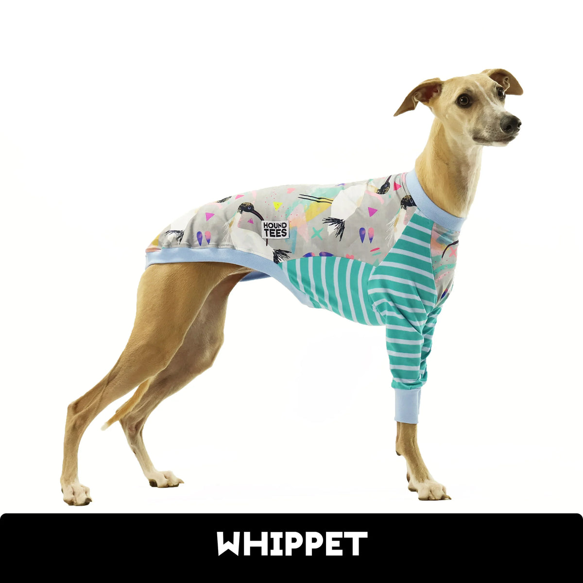 Bin Chicken Whippet Hound-Tee