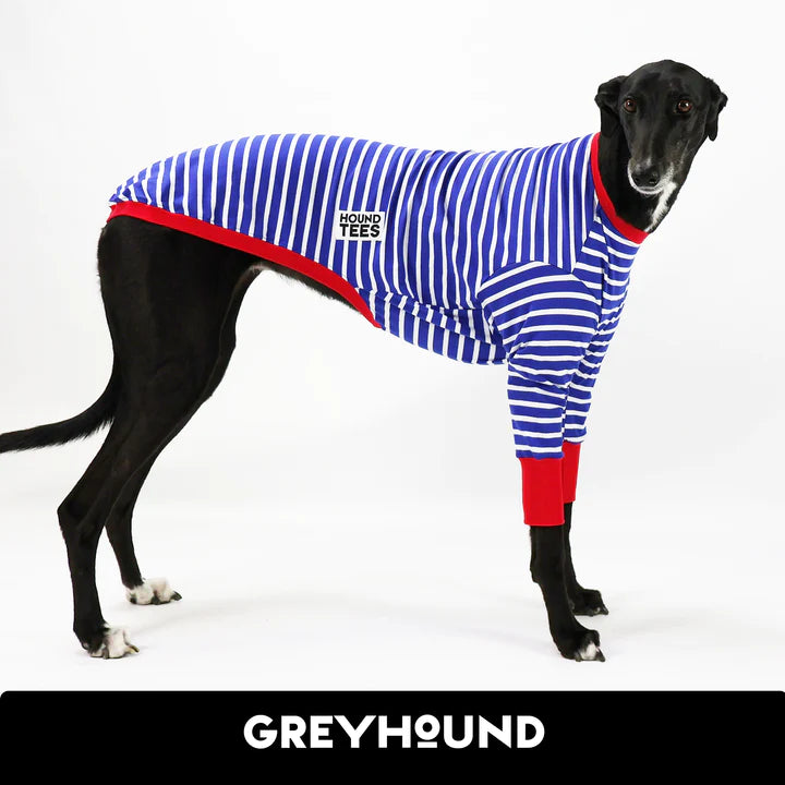Blue Breton Greyhound Hound-Tee