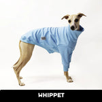 Laden Sie das Bild in den Galerie-Viewer, Blue Lagoon Whippet Sweater
