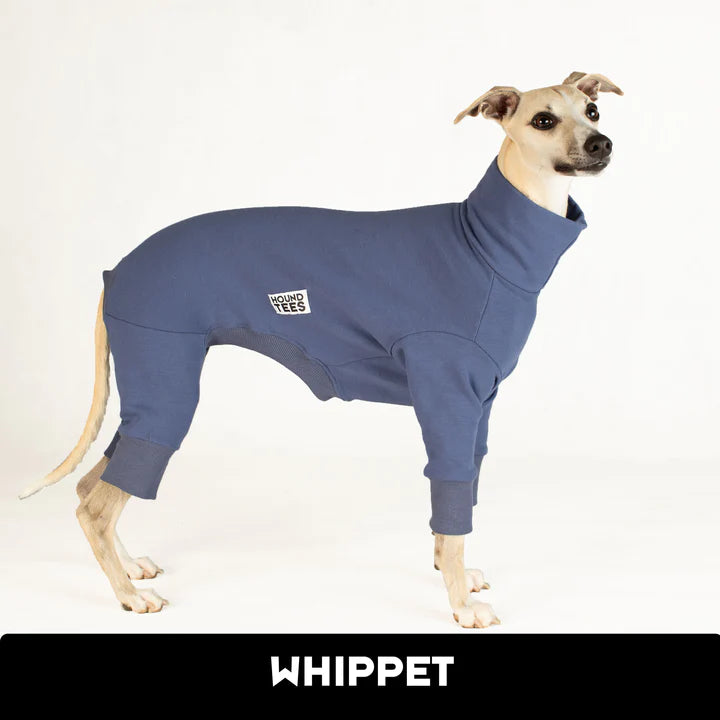 Blueberry Whippet Snoot Suit