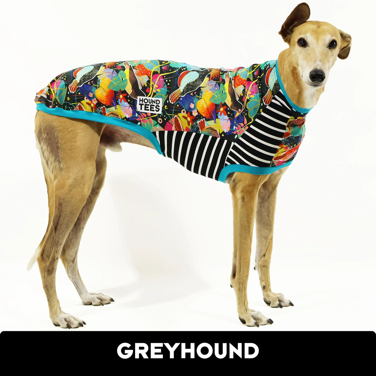 Bohemian Rhapsody Greyhound Hound-Tee