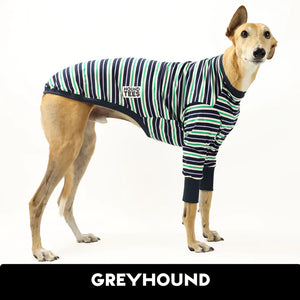 Chaos Goblin Greyhound Hound-Tee