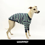 Load image into Gallery viewer, Chaos Goblin Whippet Hound-Tee
