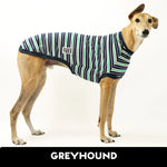 Laden Sie das Bild in den Galerie-Viewer, Chaos Goblin Greyhound Hound-Tee
