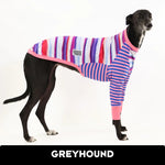 Load image into Gallery viewer, Chimkin noodles Greyhound Hound-Tee
