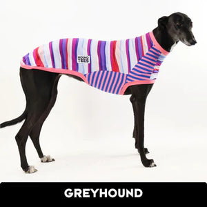 Chimkin noodles Greyhound Hound-Tee