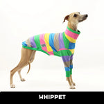 Load image into Gallery viewer, Coco Whippet Tweater
