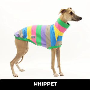 Coco Whippet Tweater