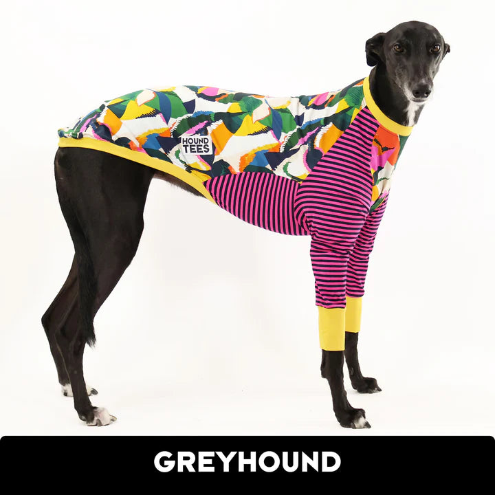 Coconutty Greyhound Hound-Tee