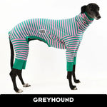 Laden Sie das Bild in den Galerie-Viewer, Cutie Booty Greyhound Hound-Tee
