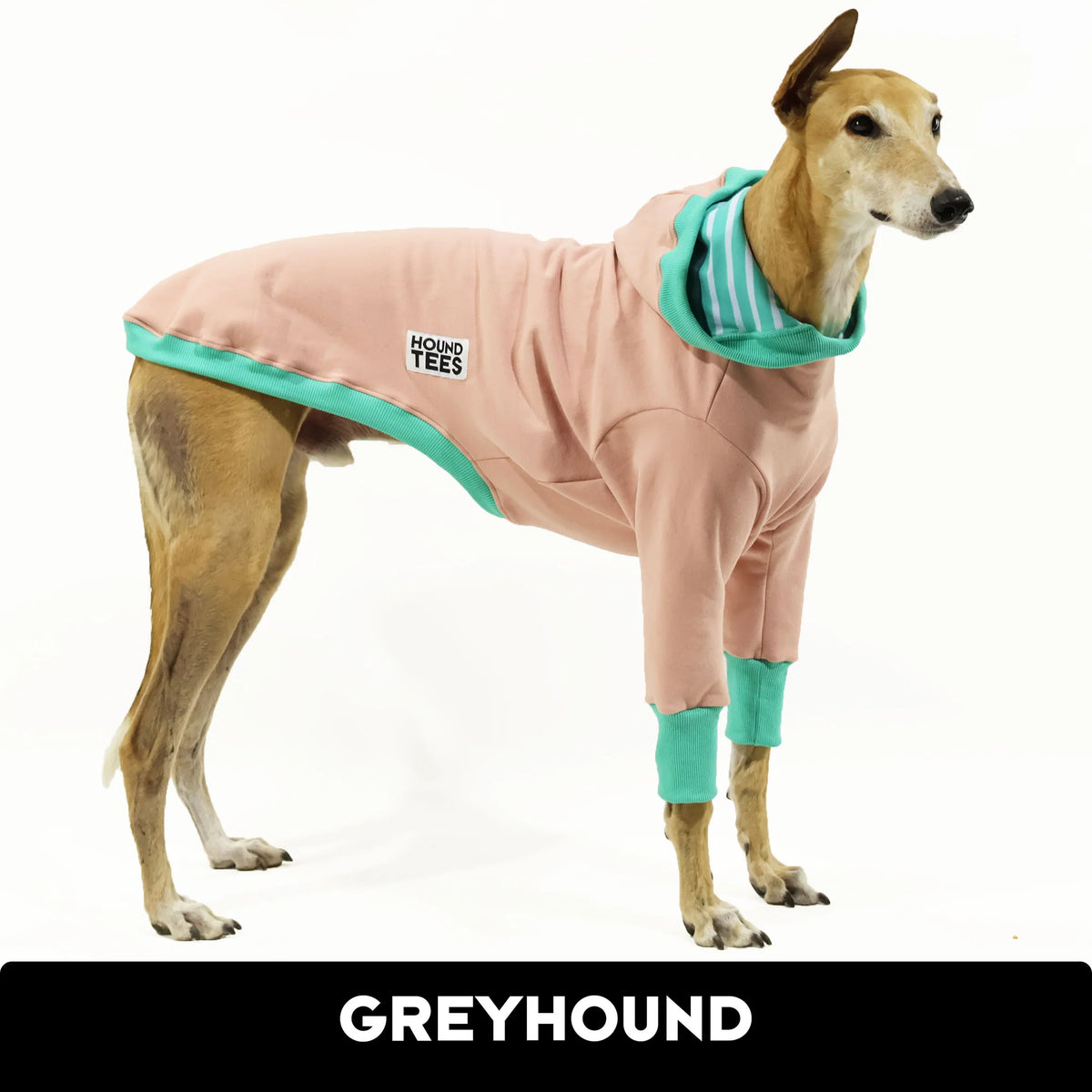 Flashdance Greyhound Hoodee