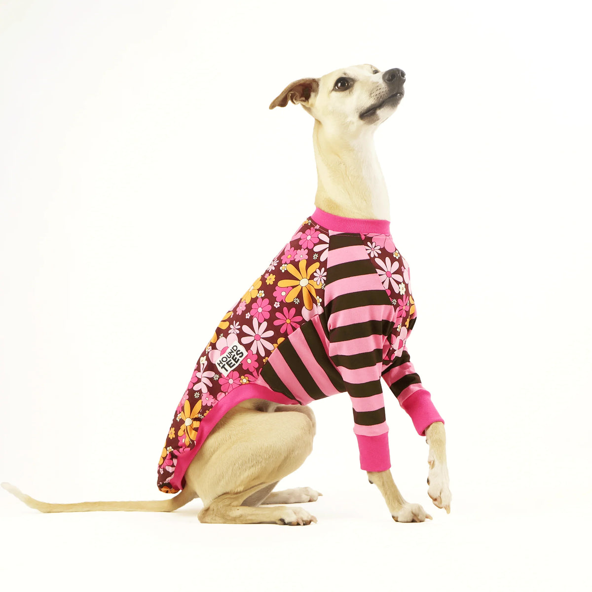 Flower Power Whippet Hound-Tee