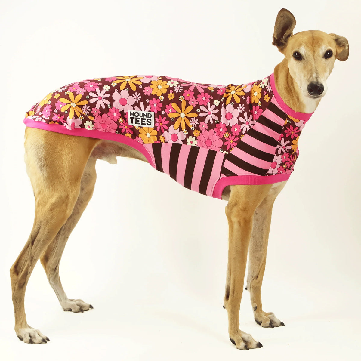 Flower Power Greyhound Hound-Tee