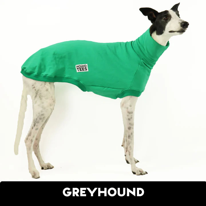 Avocado Greyhound Sweater