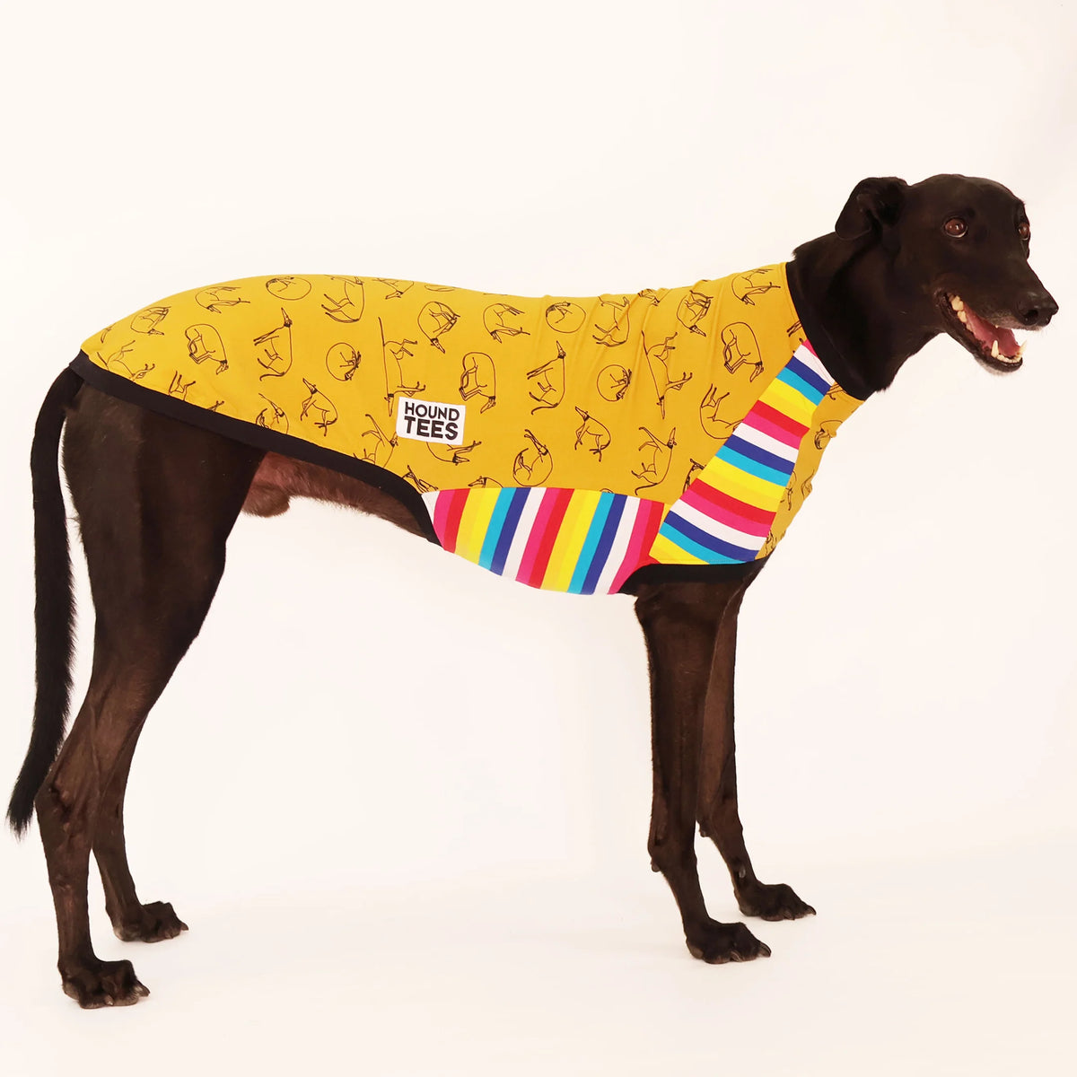 Harriets Hounds Greyhound Hound Tee