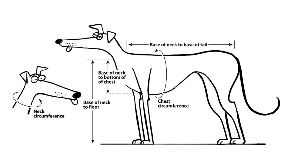 VORBESTELLUNG Skelly Greyhound Hound-Tee