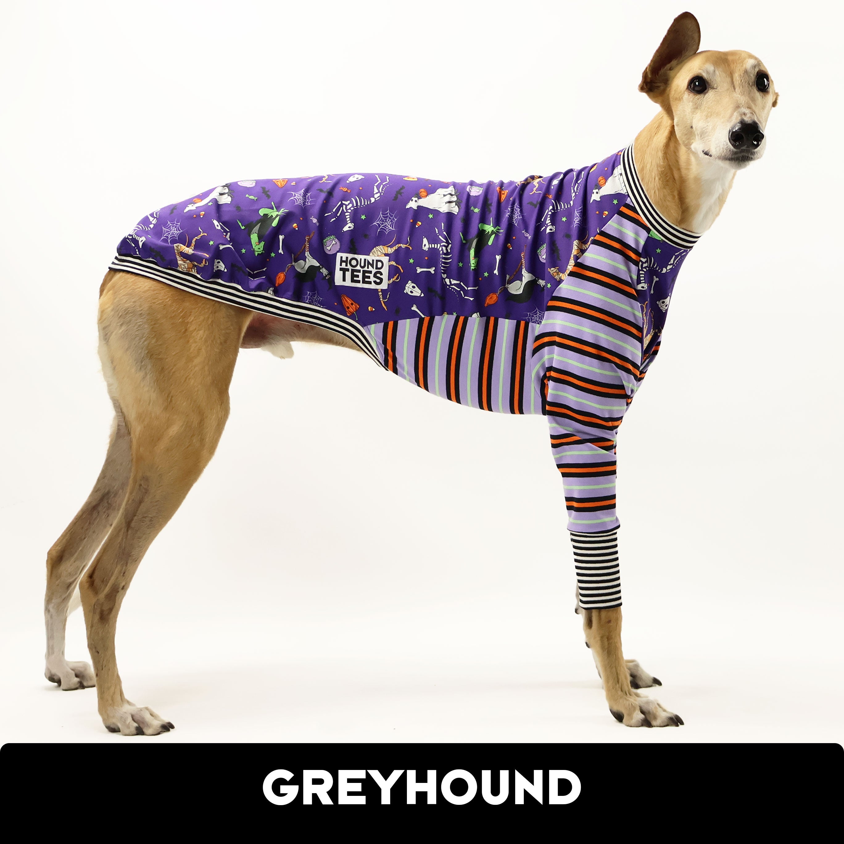 VORBESTELLUNG Halloween Greyhound Hound-Tee