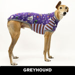 Load image into Gallery viewer, VORBESTELLUNG Halloween Greyhound Hound-Tee
