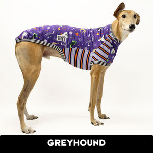 VORBESTELLUNG Halloween Greyhound Hound-Tee