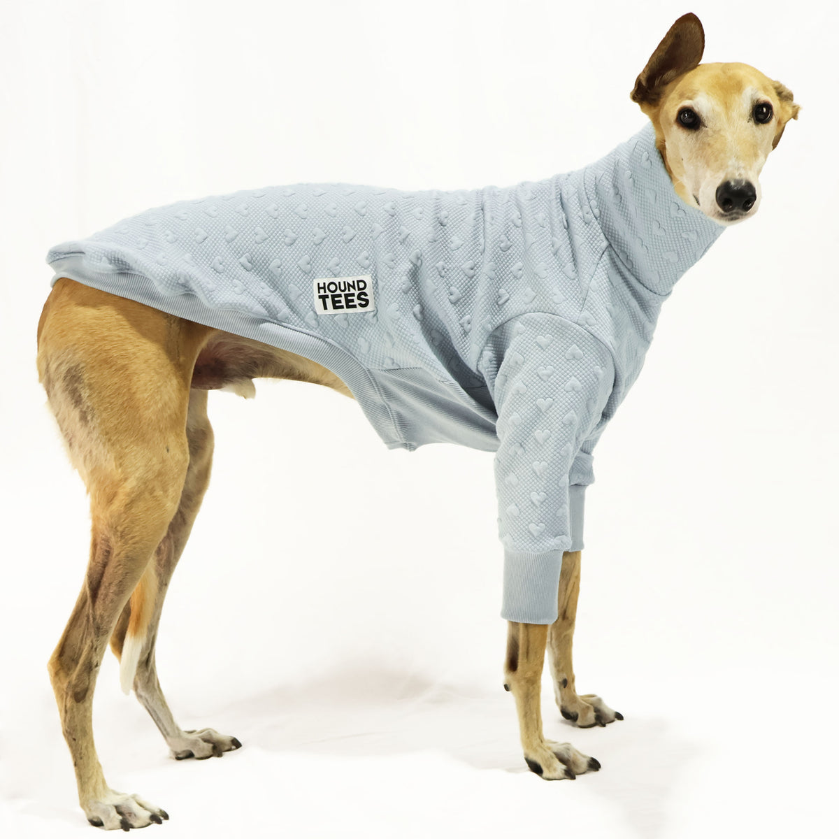 VORBESTELLUNG Jadore Greyhound Quilted Sweater