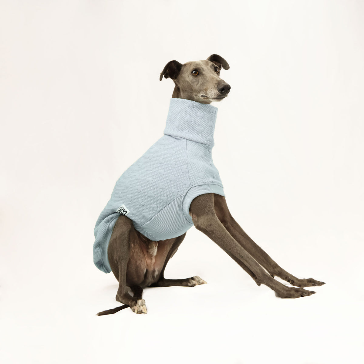 VORBESTELLUNG Jadore Whippet  Quilted Sweater