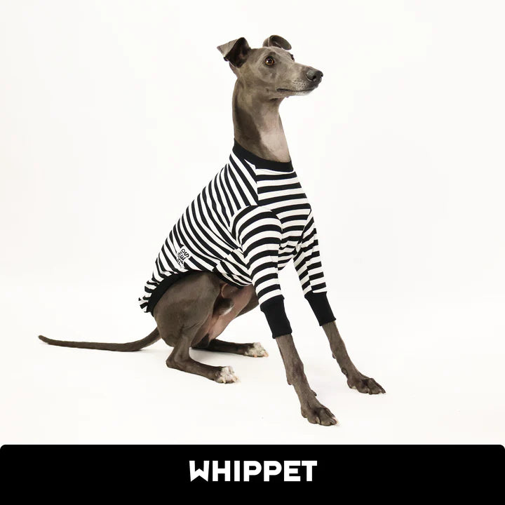Jailbreak Whippet Hound-Tee