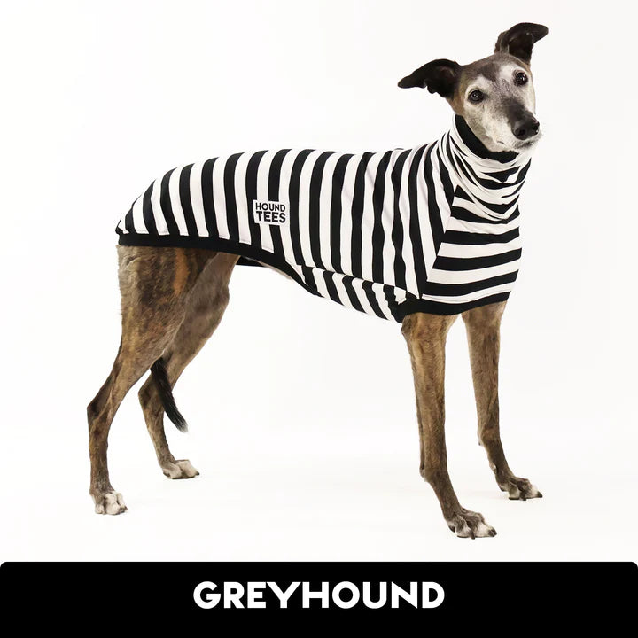 Jailbreak Greyhound Hound-Tee