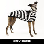 Load image into Gallery viewer, Jailbreak Greyhound Hound-Tee
