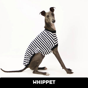 Jailbreak Whippet Hound-Tee