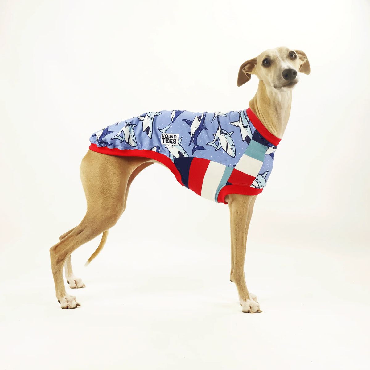 Land Shark Whippet Hound-Tee