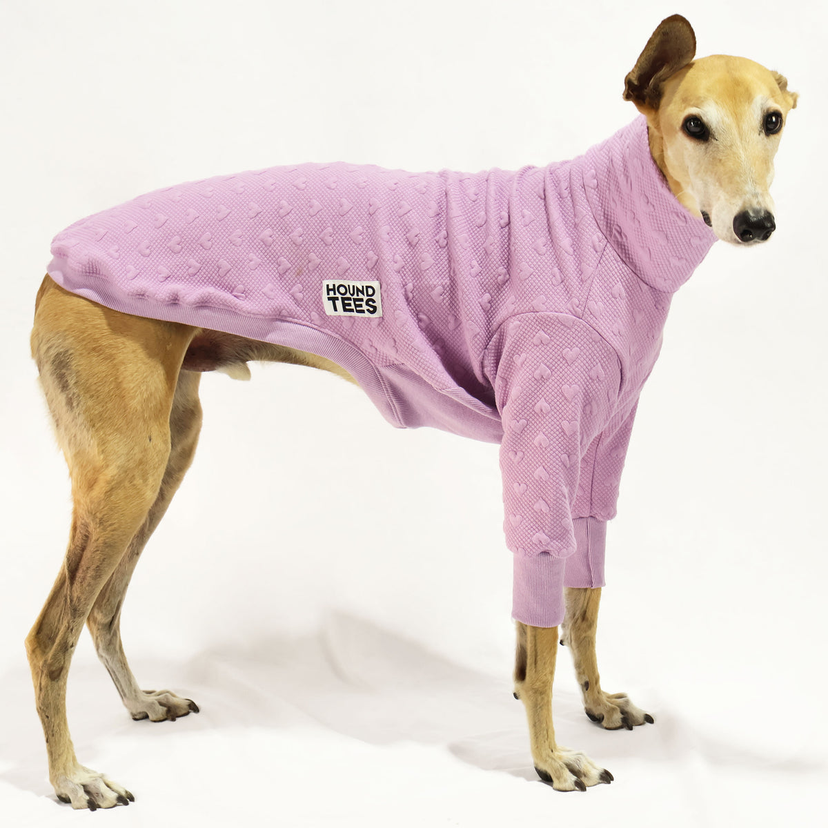 VORBESTELLUNG Lilac Love Greyhound Quilted Sweater