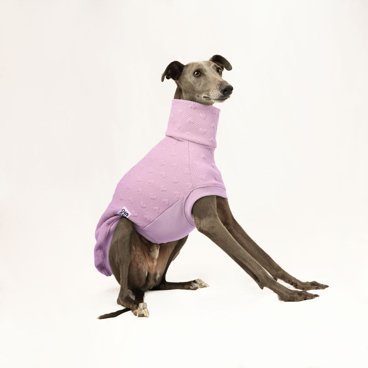 VORBESTELLUNG Lilac Love Whippet  Quilted Sweater