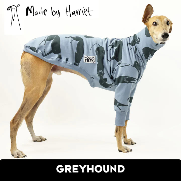 Harriet Lying Around Blue Greyhound Sweater