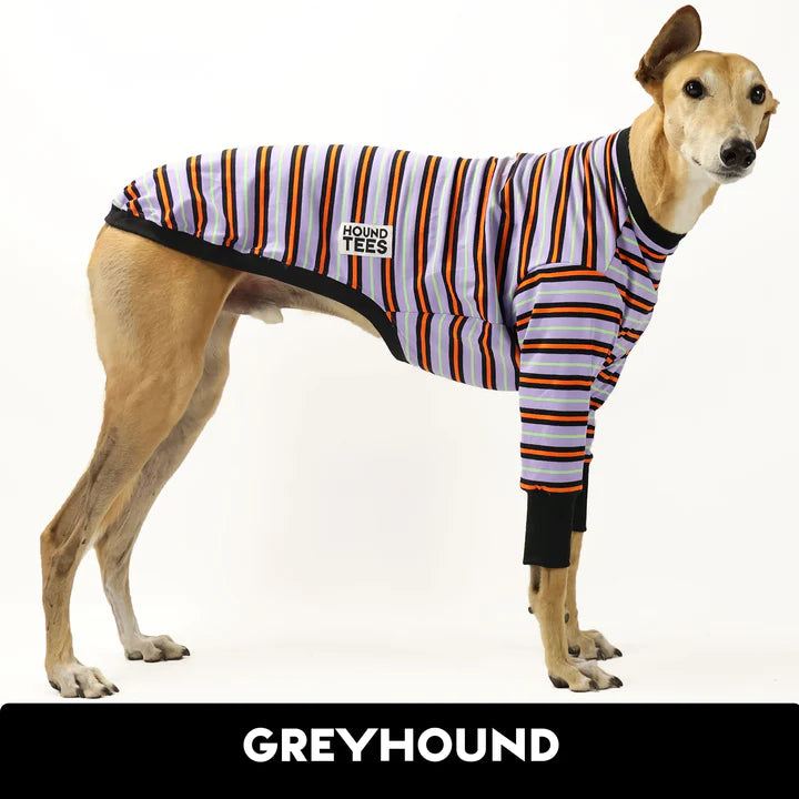 Monster Mash Greyhound Hound-Tee