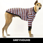 Laden Sie das Bild in den Galerie-Viewer, Monster Mash Greyhound Hound-Tee
