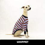 Load image into Gallery viewer, Monster Mash Whippet Hound-Tee

