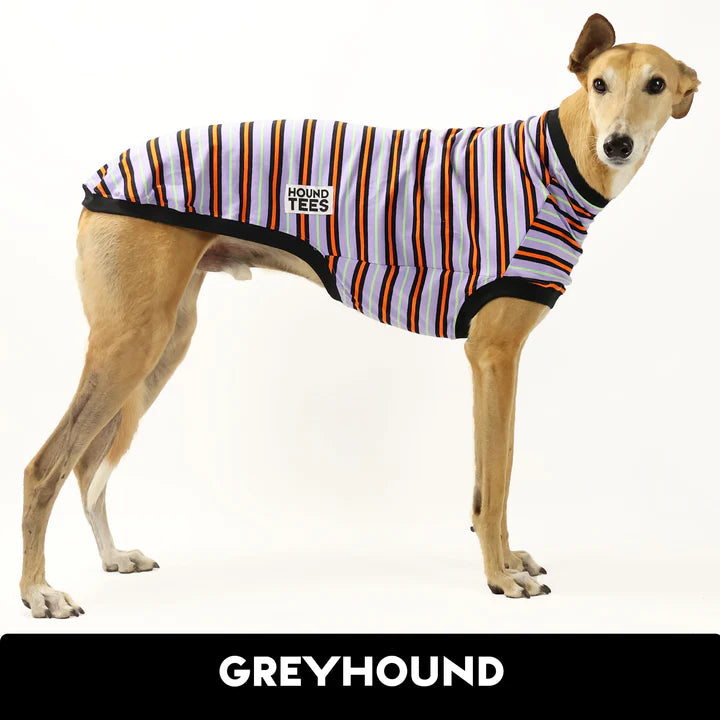 Monster Mash Greyhound Hound-Tee