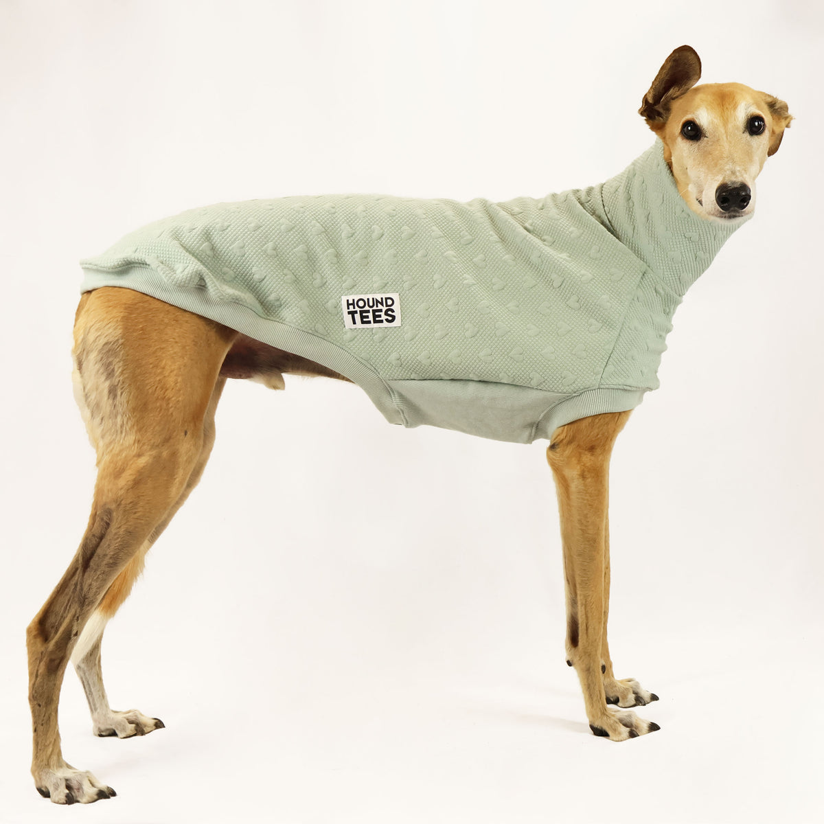 VORBESTELLUNG Olive You Greyhound Quilted Sweater