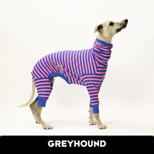 Party In Your Pants Whippet Long Johns
