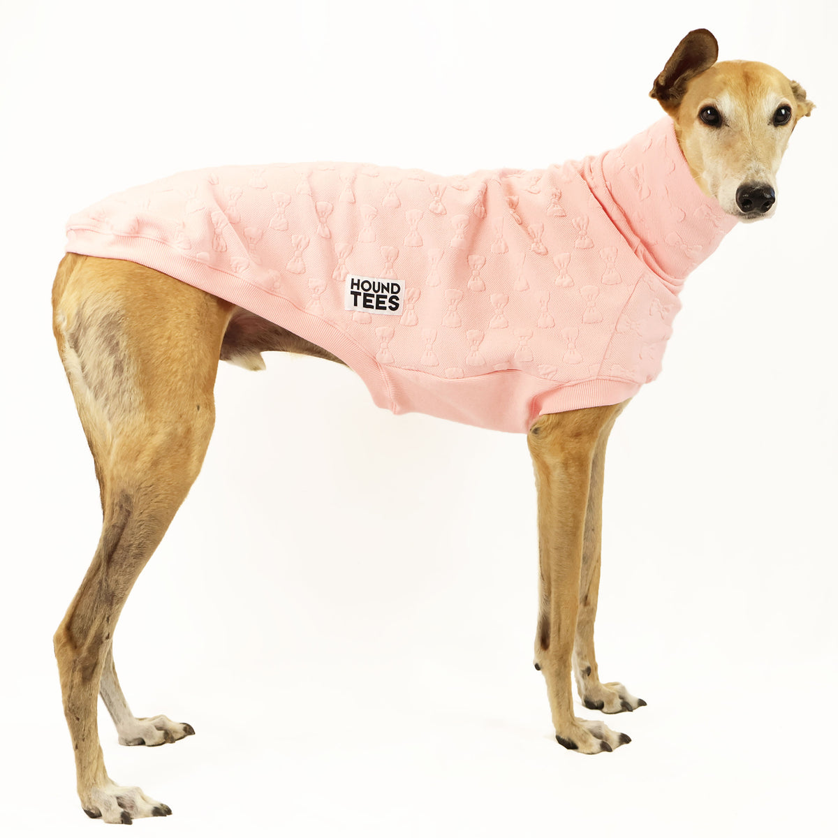 VORBESTELLUNG Peach Pawfect Greyhound Quilted Sweater