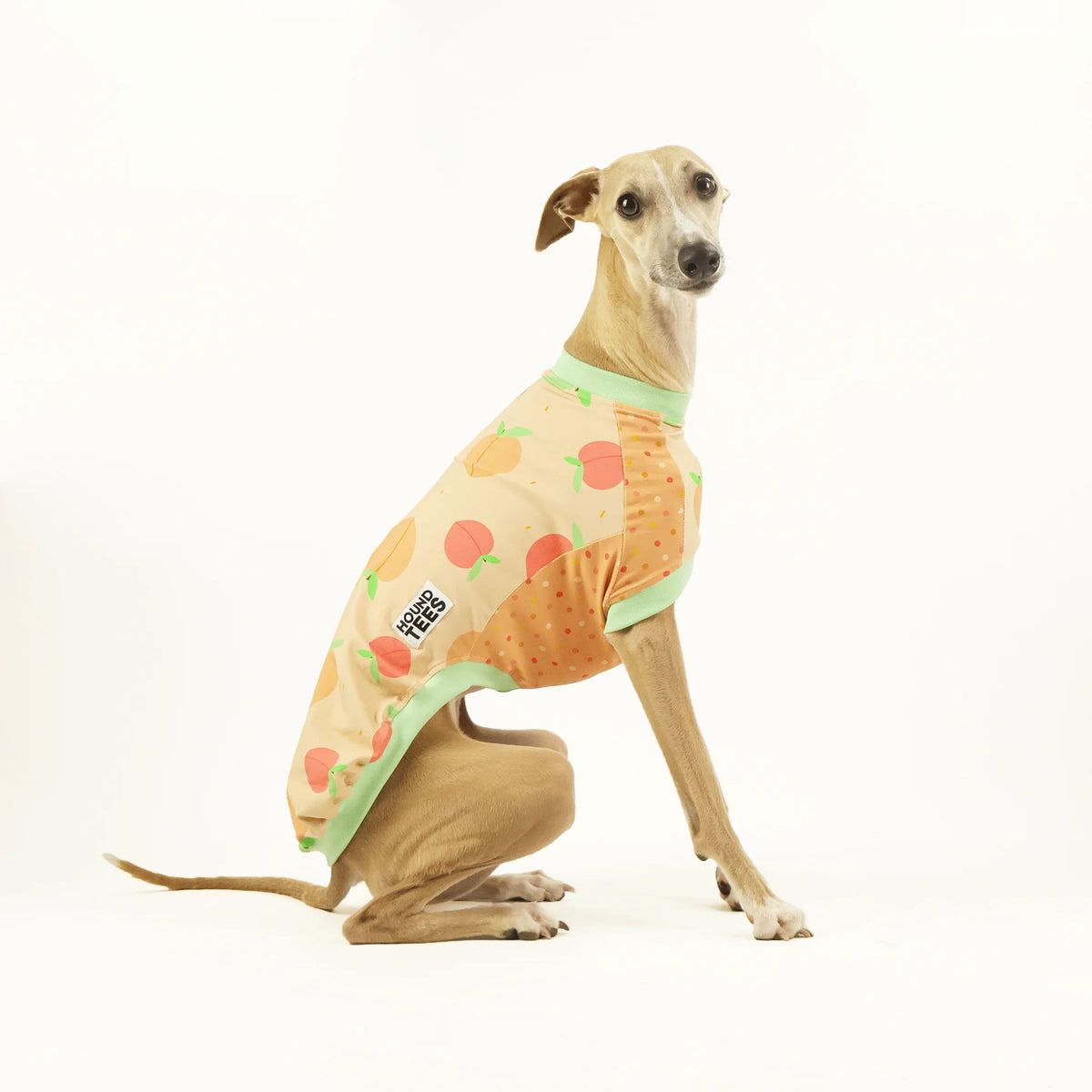 Peaches Whippet Hound-Tee