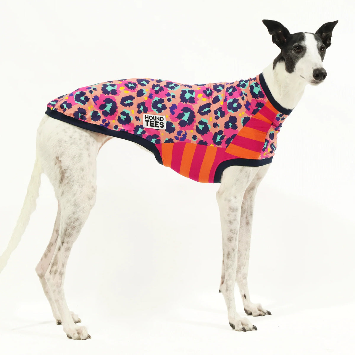 Peggy Disco Greyhound Hound-Tee